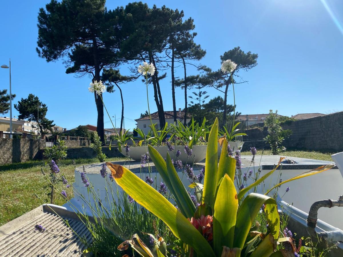 Beach House With Swimming Pool Vila do Conde Exteriör bild